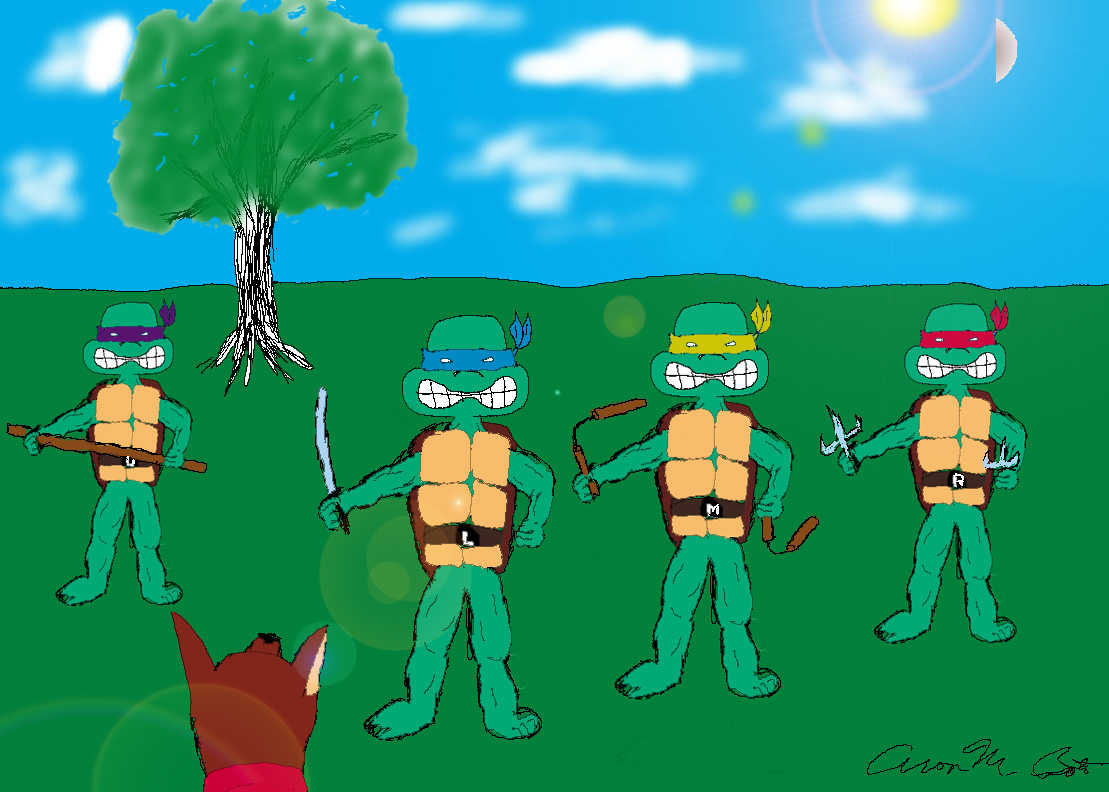 Meme Turtles